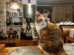 -隅cafe(傅厚岗店)