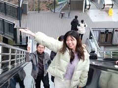 -花园菜市场