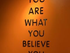 -健身专家Wellness Experts