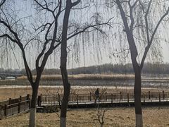 -北京麋鹿生态实验中心