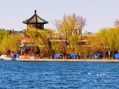 -萤火虫咖啡(后海店)