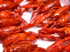 -虎虎龙虾大排档(双井店)
