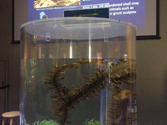 -西雅图水族馆
