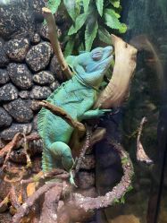 -未来动物城动物主题公园(大悦城店)