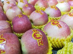 -江杨农产品批发市场