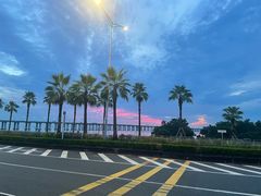 -宝安西湾红树林湿地公园