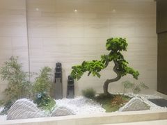 -兴芮温泉度假区