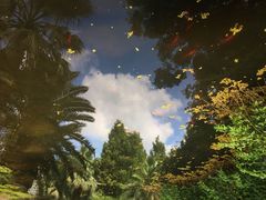 -苏州河梦清园环保主题公园