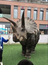 -恐龙探索乐园(磁器口店)