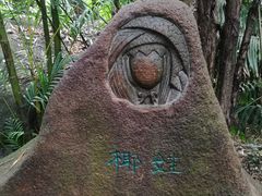 -呀诺达热带雨林