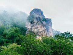 -牛背梁国家森林公园