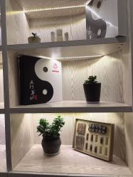 -东英经典SKIN&SPA