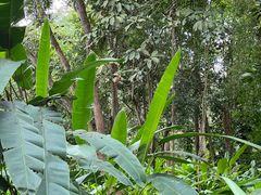 -中国科学院西双版纳热带植物园