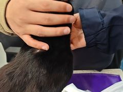 -子乐宠物医院