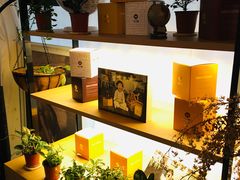 -Social club seoul
