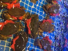 -阿明小菜·海鲜·上海菜(梅陇华理店)