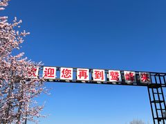 -北京鹫峰国家森林公园