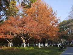 -范蠡湖公园