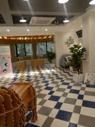 -宝贝天空儿童摄影(花溪店)