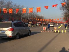 -大槐树寻根祭祖园