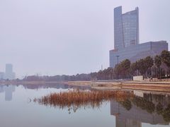 -金沙湖公园