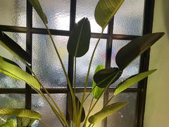 -渝乡辣婆婆·川菜 水煮鱼(安平店)