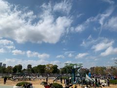 -上海山野camping·户外天幕烧烤·团建拓展营地