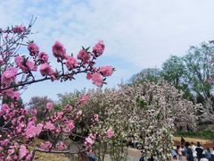 -海棠花溪(元大都城垣遗址公园)