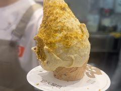 -野人先生现做冰淇淋(西安赛格店)