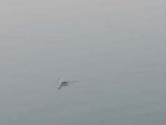 -天津东丽湖风景区