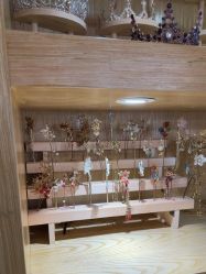 -星豆豆儿童摄影(南郊太白南路店)