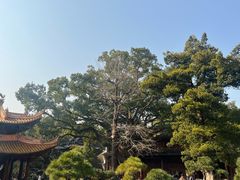 -普陀山风景名胜区-法雨禅寺