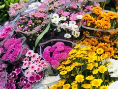 -循礼门鲜花花市(武汉循礼门店)