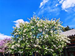 -肯德基(渔阳店)