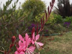-桂溪生态公园