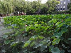-四川大学(望江校区)