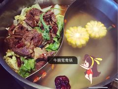 -手选潮汕鲜活牛肉火锅(二七广场店)