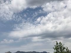 -哈素海