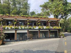 -深圳仙湖植物园