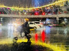 -丹东特色烤肉(南光三部店)