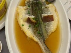 老酒蒸中黄鱼-银都上海菜馆(粤海东路店)