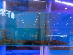 -大头椰·椰子鸡火锅(南宁万象城店)