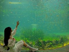-海合安成都极地海洋公园