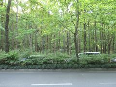 -西湖外事游船(花港观鱼码头)