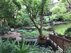 -香港大学