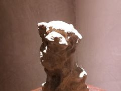 -觀芷隐轩