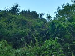 -西安祥峪森林公园
