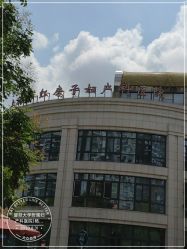 -复旦大学附属妇产科医院(杨浦院区)