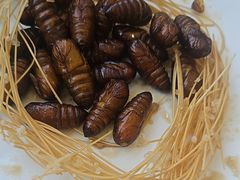 -渔码头食府(蓬莱阁店)