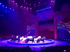 -珠海横琴长隆《卡卡虎奇遇记》